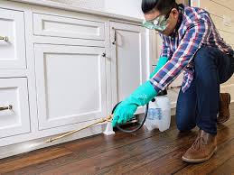 Best Real Estate Pest Inspections  in Hlside, IL